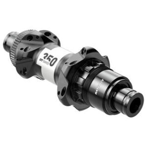 DT Swiss 350 buje trasero